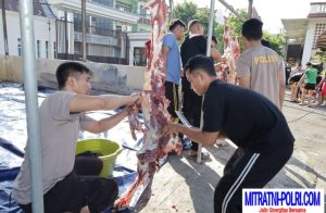Hari Raya Idul Adha 1445 H, Polrestabes Surabaya Menerima dan Menyalurkan 143 Hewan Kurban
