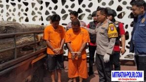 Diduga Lakukan Ilegal Logging 2 Warga Trenggalek Terpaksa Berurusan Dengan APH