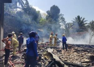 Sijago Merah Melalap Satu Rumah Warga di Dusun Picis Desa Pringapus Kecamatan Dongko Kabupaten Trenggalek