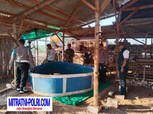Lokasi Judi Sabung Ayam di Panceng Gresik jadi Sasaran, Akhirnya Digrebek Polisi