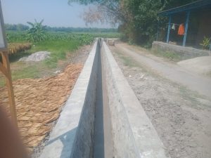 Pemdes Gedongombo Bangun Irigasi dan Jalan Rabat Beton untuk Mendukung Pertanian