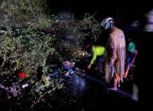 Hujan Lebat  Memakan Korban, Pemotor Tewas di Jalan Raya Karangsoko Trenggalek  Tertimpa Pohon