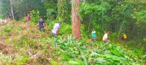 Dukung Ketahanan Pangan, Satgas Yonif 144/JY Merubah Lahan Tidur Jadi Produktif