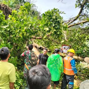 Prajurit Korem 043/Gatam Gotong Royong Siapkan Taman Urban Farming