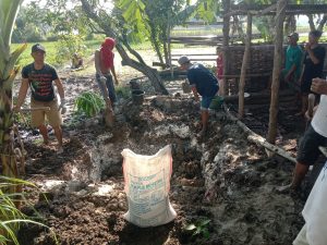 Sapi Milik Warga Gedongombo Mati Mendadak, Diduga Terkena Wabah PMK