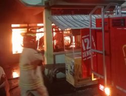 Si Jago Merah Mengamuk di Perumahan Perkampungan Pacar Keling Surabaya