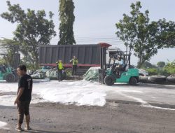 Ban Pecah,Truk Treiler Muatan 38 Ton Gula Terguling di Lamongan