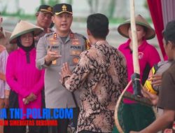 Panen Ikan Bandeng dalam Rangka Mendukung Program Ketahanan Pangan dan Makanan Bergizi