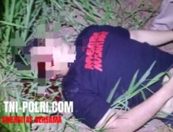 3 Anggota Polisi Tewas Tertembak saat Gerebek Judi Sabung Ayam