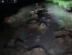 Pengguna Jalan di Dusun Dermo Sangat Kreatif Menambal Jalan dengan Sekam Padi