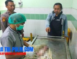 Polisi Sudah Amankan Ibu Pembuang Bayi di Gresik, Ternyata Bekerja di Pabrik PT LBJ Kebomas.