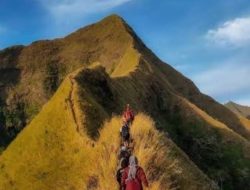 ADMINISTRATUR PERUM PERHUTANI KPH BONDOWOSO UMUMKAN LARANGAN PENDAKIAN GUNUNG SAENG, PIRAMID DAN GULGULAN