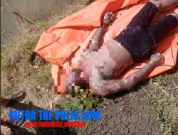 Mayat Misterius di Pinggir Tambak Desa Boboh Gresik, Warga Panik Tercium Bau Menyengat