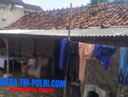 Potret Kemiskinan di Pati, Mbah Sagimah Tinggal Bersama Kambing