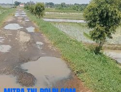 DINAS PUPR CILACAP DIHARAPKAN BERTINDAK CEPAT ATASI JALAN RUSAK CIAWITALI CISUMUR GANDRUNG MANGU