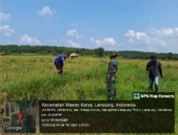 Waway Karya Kembali Kondusif, Proyek Cetak Sawah 939 Hektare Diapresiasi Warga dan Aparat