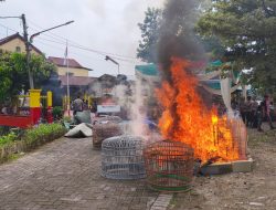PEMUSNAHAN BB JUDI SABUNG AYAM DI WILAYAH KEC. LAKARSANTRI DESA SAMBIKEREP SBY YANG DI HADIRI OLEH TOGA-TOMAS SERTA 3 PILAR
