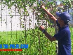 Waspada Penipuan Bermodus Kos-kosan Murah di Surabaya, Sasar Calon Mahasiswa Baru.