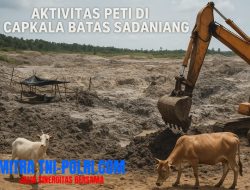 Terbongkar! Tambang Emas Ilegal Capkala Gunakan Ekskavator Pengakuan Pelaku Mengejutkan