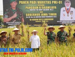 Pangdam V/Brawijaya Pimpin Panen Raya dan Tinjau Inovasi Pertanian Terpadu di Lamongan