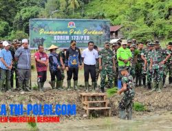 Dukung Ketahanan Pangan Nasional, Korem 173/PVB Tanam Padi Perdana di Nabire