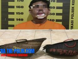 Curi Ayam Jago di Tulungagung, Warga Trenggalek Diamankan Polsek Kedungwaru