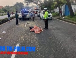 Tabrak Lari di Purwodadi Pasuruan, Pemotor Tewas Dihantam Mobil