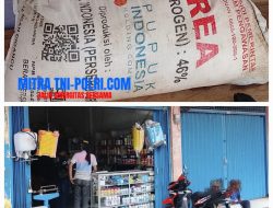 Jaringan Dugaan Praktik Gelap Pupuk Subsidi di Lahat Terkuak: Libatkan Anggota DPRD dan Oknum Aparat