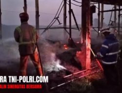 Ludes Terbakar, 10.500 Ekor Ayam Mati Terpanggang