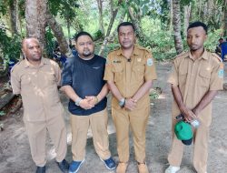 TNI AL, Pemkab Nabire dan Komunitas Hijau Tanam 1.500 Mangrove di Samabusa.