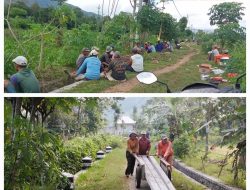 Kelompok Tani Sumber Makmur Desa Ngulanwetan Pogalan Trenggalek hasil Swadana Menyambung Aliran Listrik untuk Lahan Pertanian