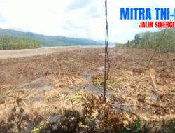Ancam Bencana Ekologis di Siuna: Perusahaan Tambang Nikel PT Bumi Persada Surya Pratama Bantai Mangrove Demi Profit, Abaikan Masa Depan Warga dan Lingkungan