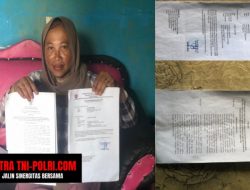 Skandal SK Honorer di Banggai Laut: Kebijakan DIKPORA Diobok-obok Kades Badawin Sepole, Rasmin Jadi Korban Ambisius