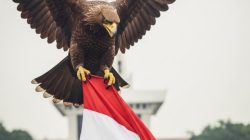 Garuda Gagah, Tikus Rakus: Merah Putih Sedang Digrogoti