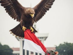 Garuda Gagah, Tikus Rakus: Merah Putih Sedang Digrogoti