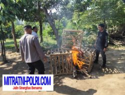 Polres Blitar Kota Bongkar Arena Sabung Ayam di Srengat