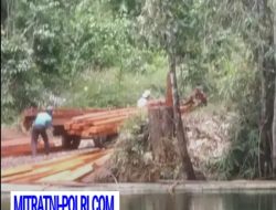 Diduga Balai Gakkum KLHK Palu Tutup Mata dan Mandul,Akibat Manusia Serakah Cagar Alam Taronggo Terancam Punah
