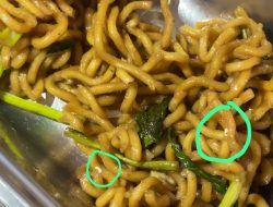 Ada Belatung, Makanan Bergizi Gratis (MBG) di SMAN 1 Menganti Jadi Sorotan dan Menjijikkan
