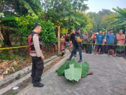 Pria Disabilitas Ditemukan Meninggal Tergeletak di Jalan Desa Kedungboto Porong Sidoarjo