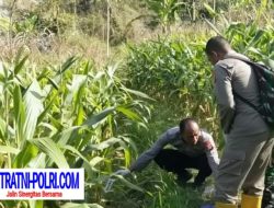 Bapak Ditemukan Tewas Bersimbah Darah oleh Anaknya di Ladang Kawasan Hutan Margomulyo