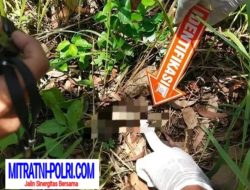 Geger !  Ditemukan Kerangka Manusia di Hutan Tulungagung