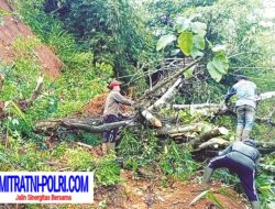 Tutup Jalan ; Tujuh Titik Longsor di Kare Madiun–Ponorogo