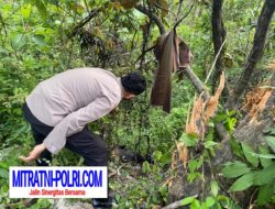 Sepeda Motor Terbakar Pengendara Masuk Jurang dan Dikabarkan Meninggal Dunia