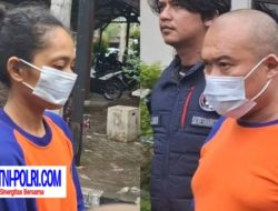 Pengembangan Greenhouse Ganja di Jombang Pasutri ternyata Otak dan Penyandang Dana