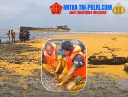 Tongkang kandas, Cuaca Extrim Puluhan Ton CPO Lemari Perairan Gili Iyang Sumenep